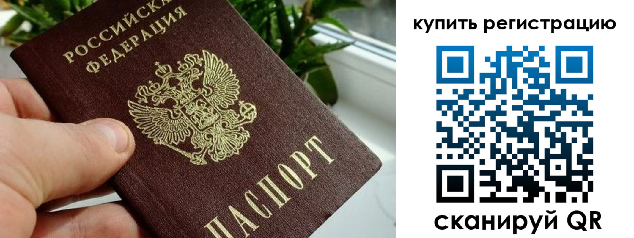 прописка гарантия в Марий Эл